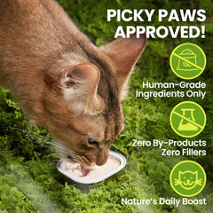 OPET Wet Cat Food Pate krill-goat-milk blend image showcasing premium ingredients for coat shine
