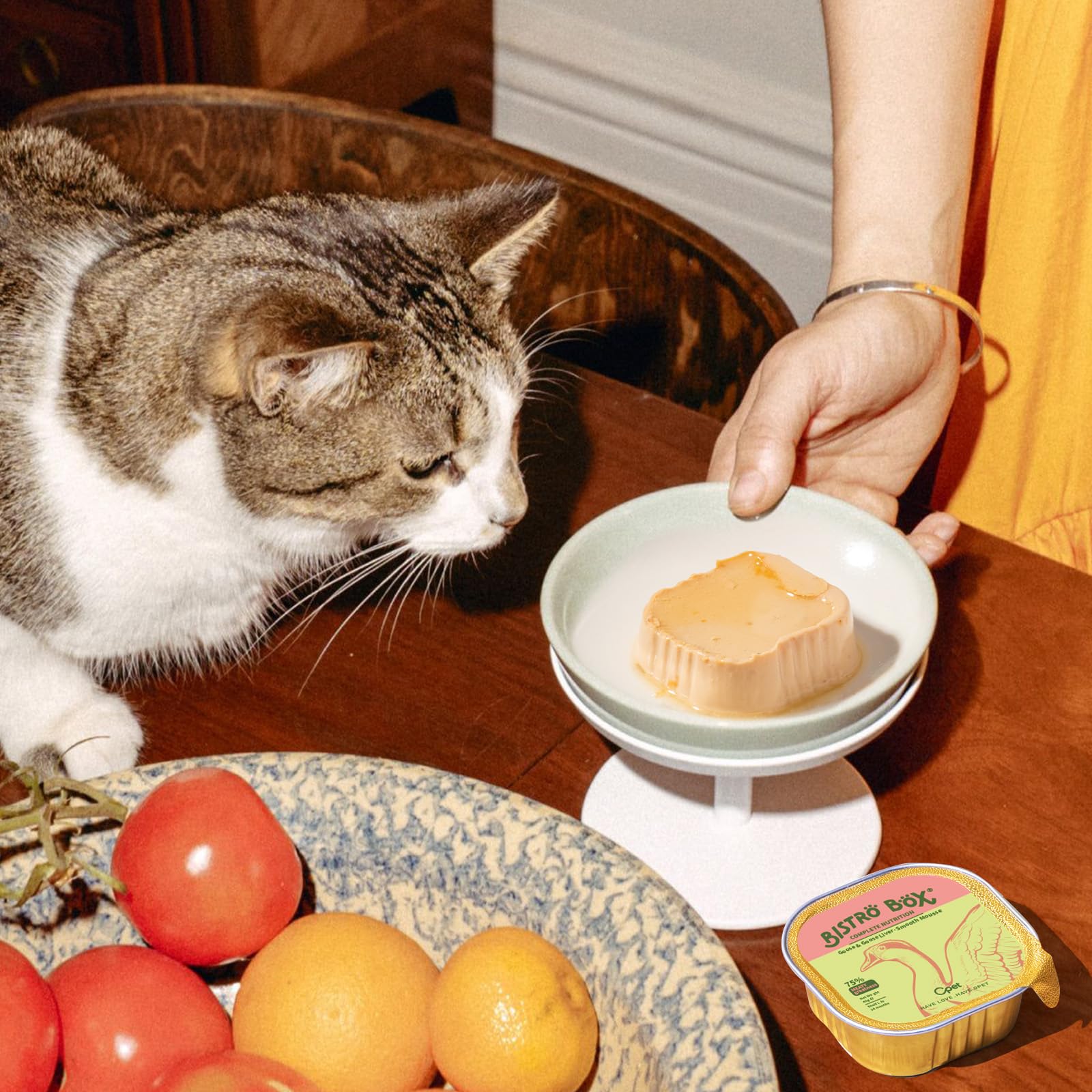 OPET Wet Cat Food Pate shrimp oil image emphasizing omega-3 fats for healthy skin and coat