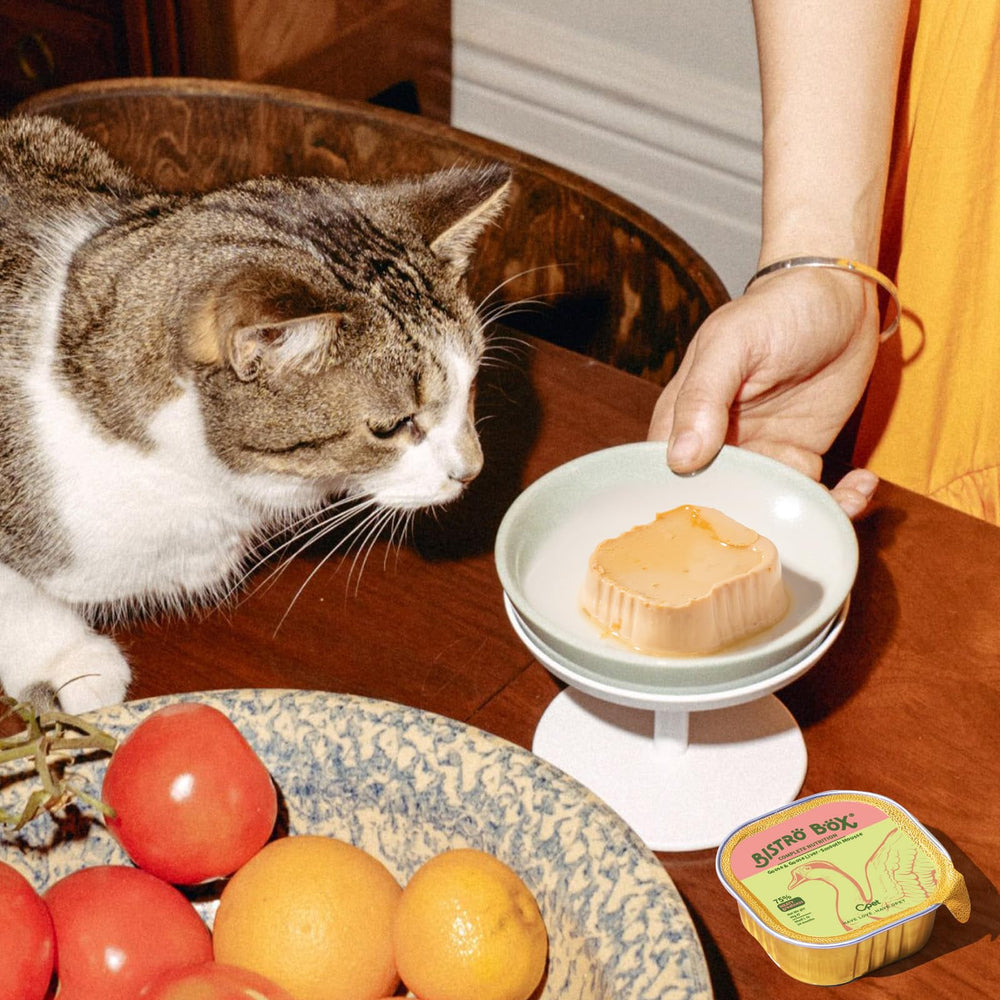 OPET Wet Cat Food Pate shrimp oil image emphasizing omega-3 fats for healthy skin and coat