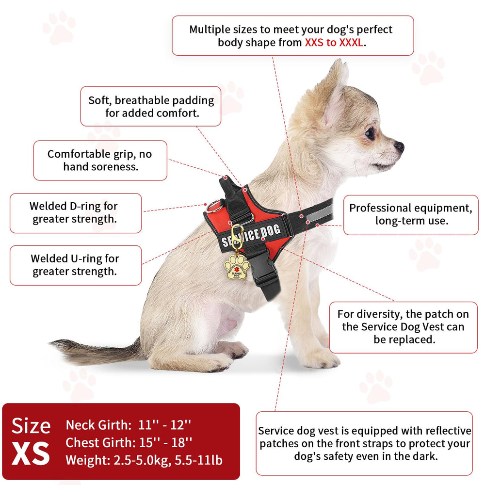 Opstin ADA information cards pack for quick reference.