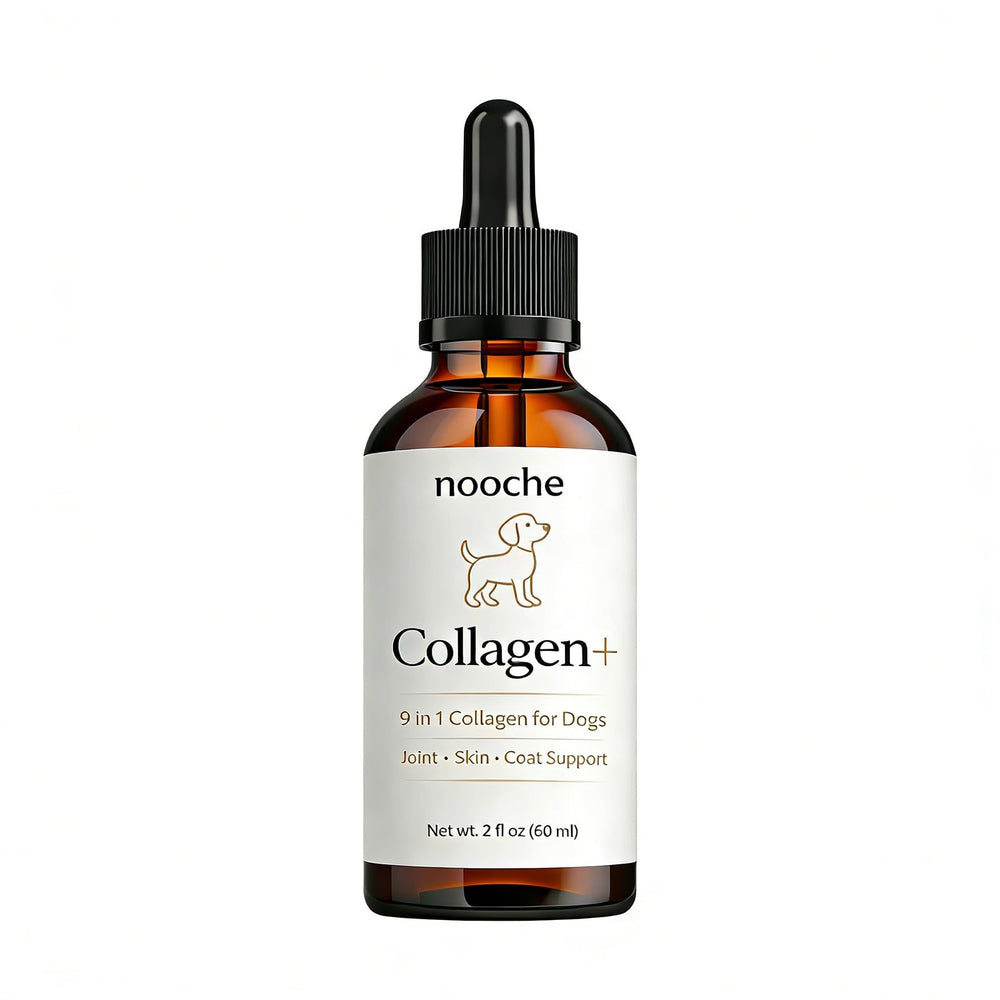 Optikind Nooche Collagen Drops bottle for easy daily dosing in dogs.