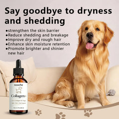 Optikind Nooche Collagen Drops coat focus supports a healthy-looking shine for dogs.
