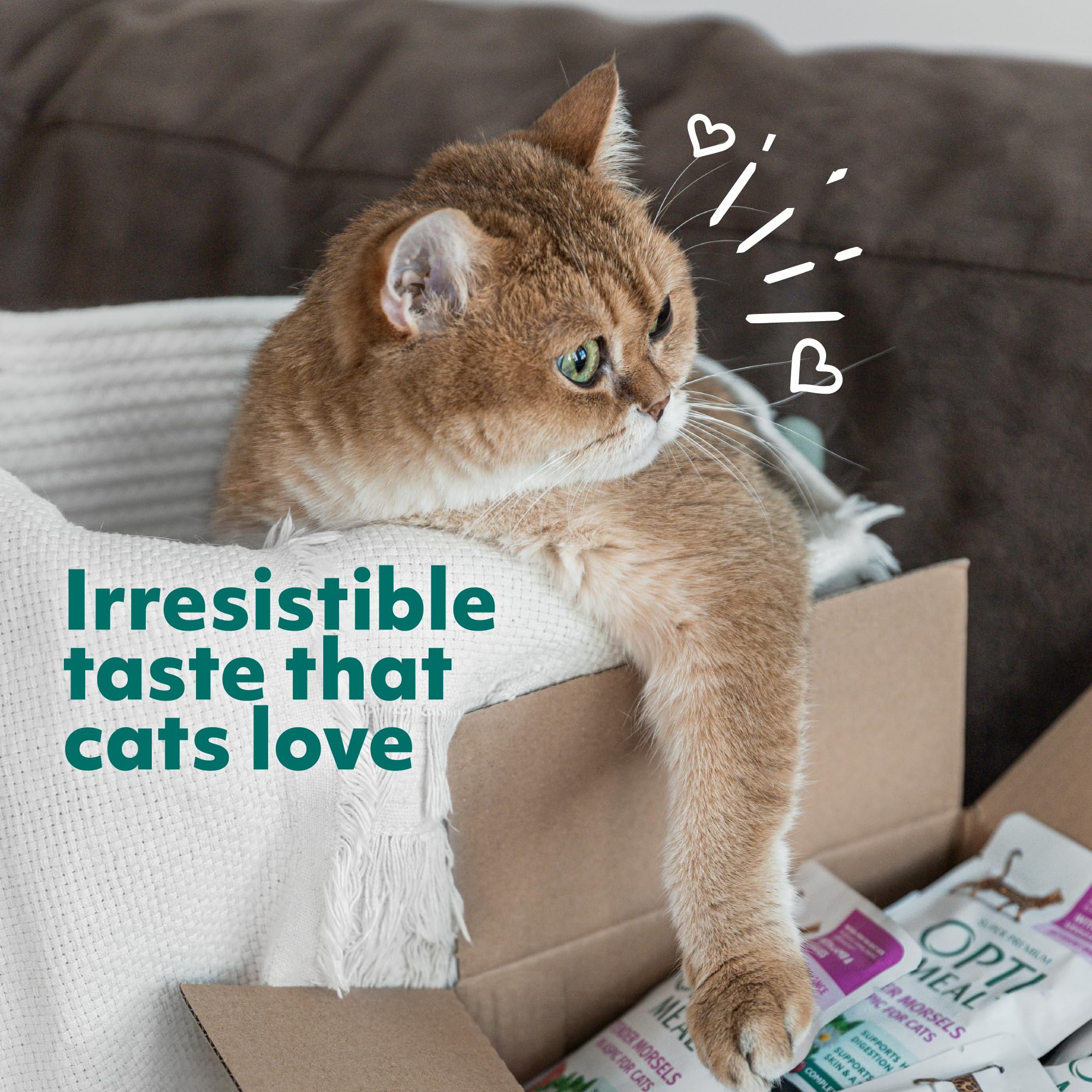 Optimeal assorted flavors delight cats at mealtime in 3oz pouch.
