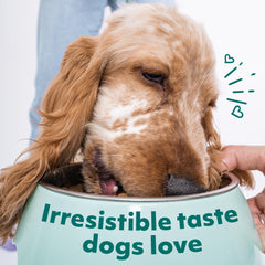 Optimeal grain-free formula designed for small breed digestion