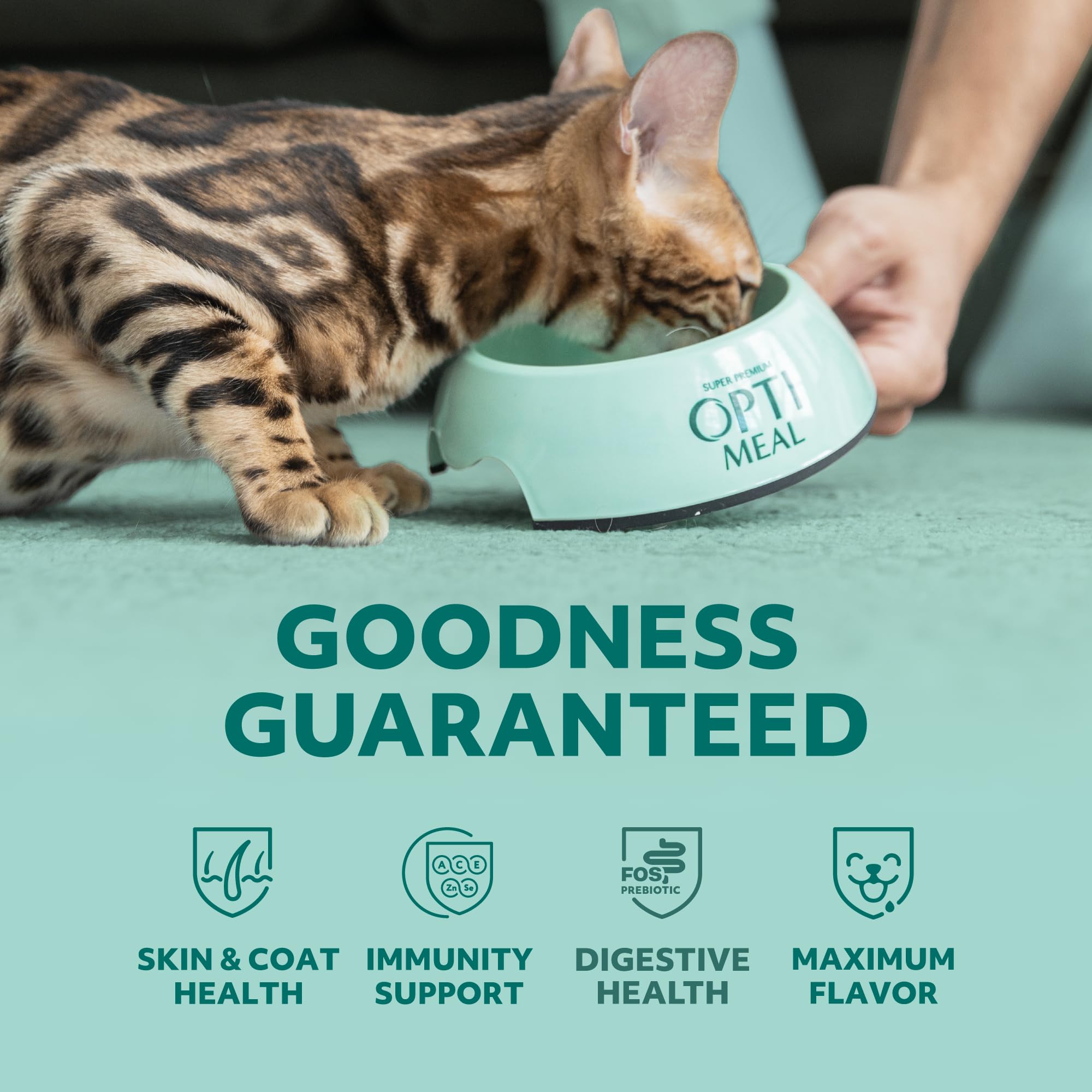 Optimeal serving-topper-over-dry-kibble presentation for added flavor and moisture.