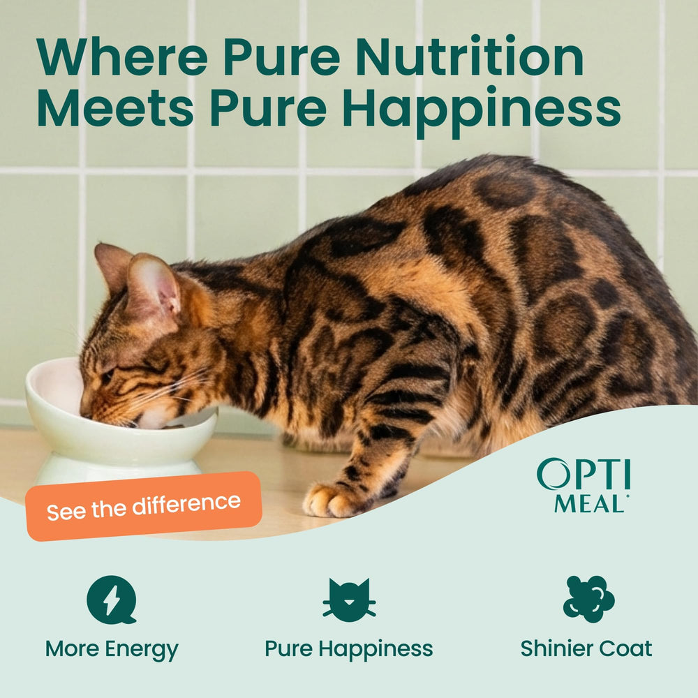 Optimeal no additives and no GMOs grace the product label