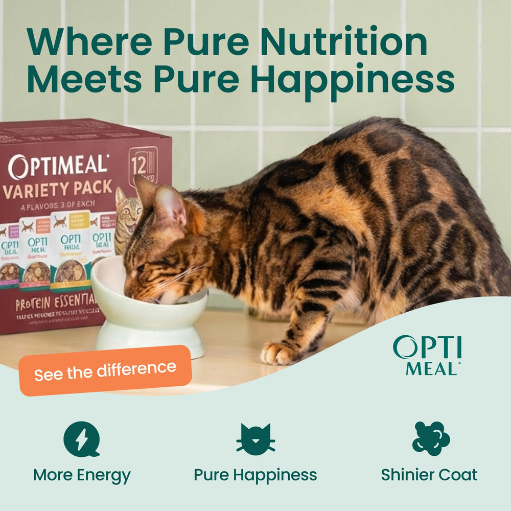 Optimeal savory gravy and tender morsels illustrate varied mealtime textures.