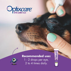 Horse eye care with OptixCare Eye Lube Plus Hyaluron gel