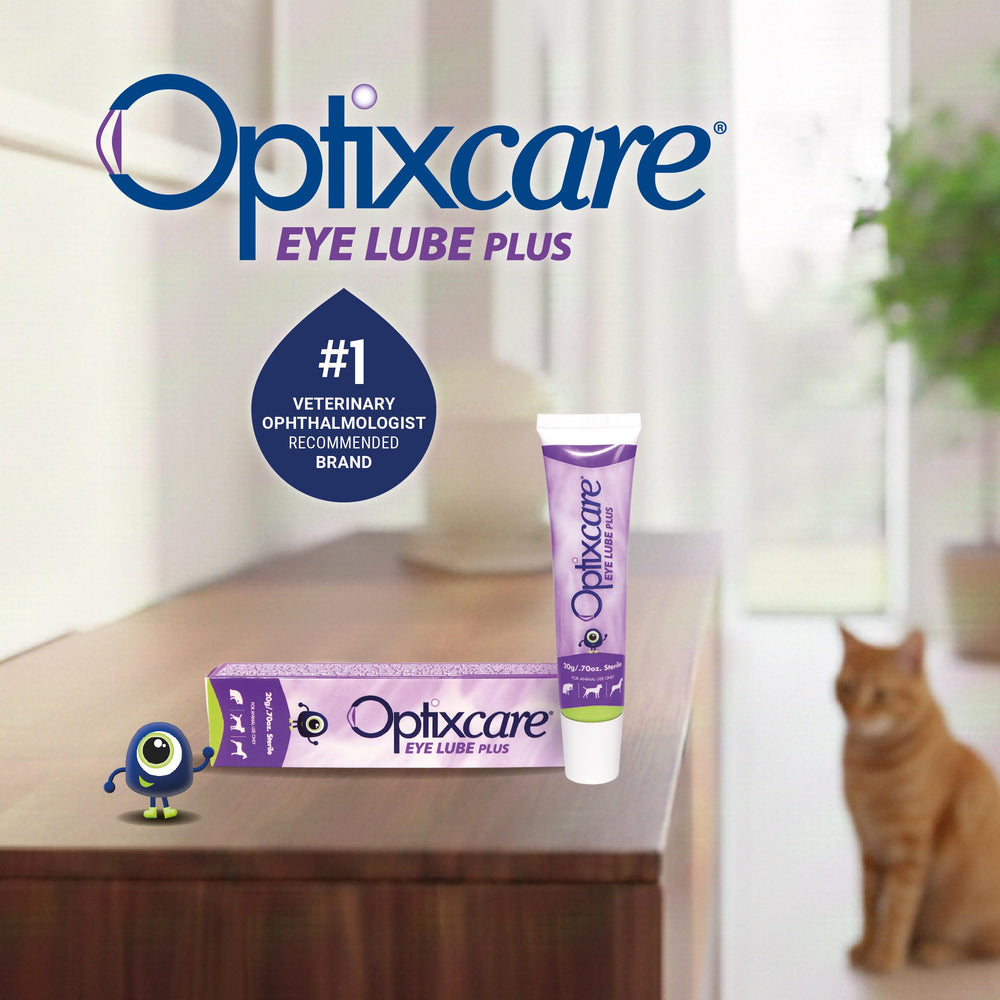 OptixCare Eye Lube Plus packaging: 20g stand-up tube with eye dropper tip.