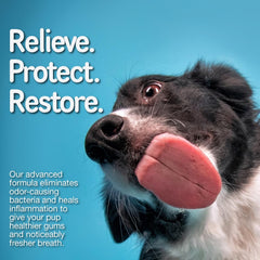 Ora-Clens bottle showing 120 capsules for convenient pet care.