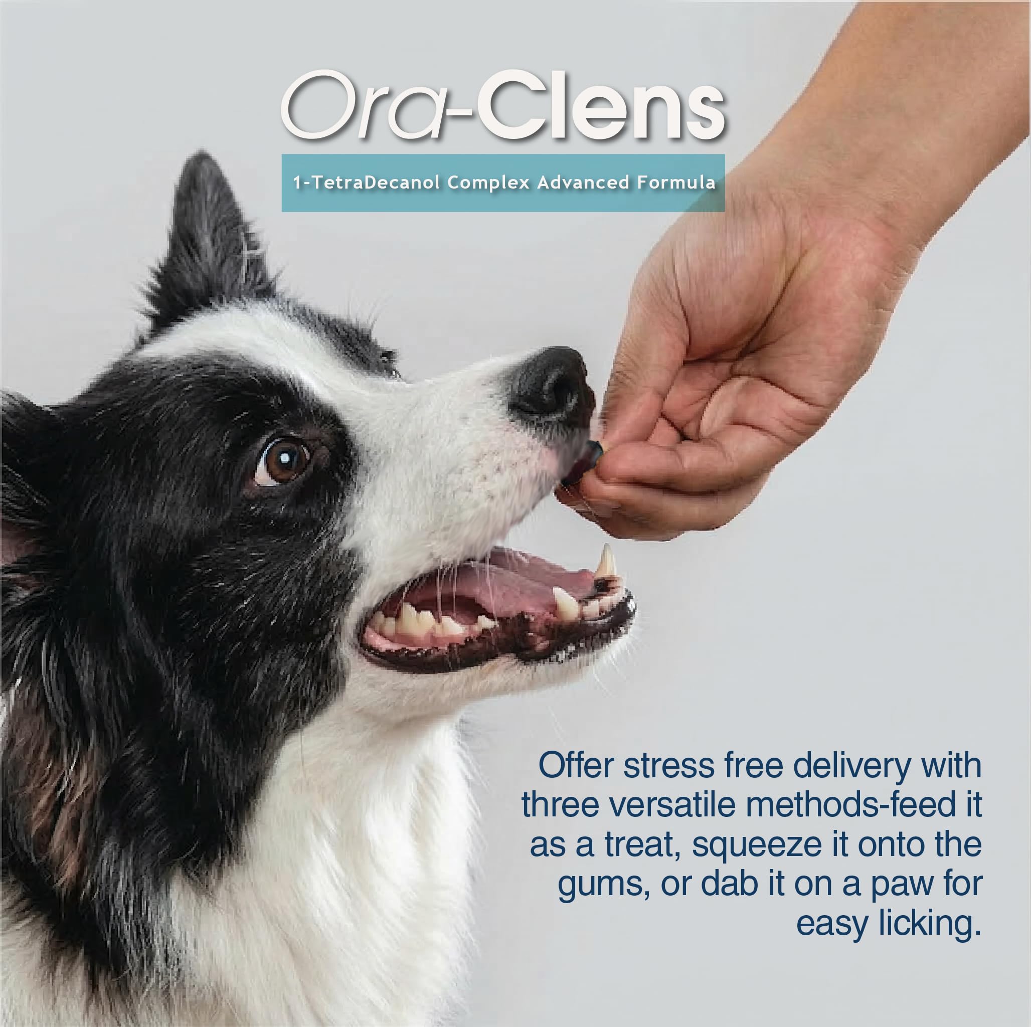 Dog on a walk with Ora-Clens indicating hip and joint support.