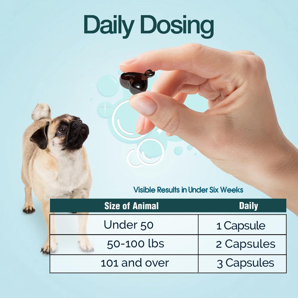 Veterinarian-approved Ora-Clens product display.