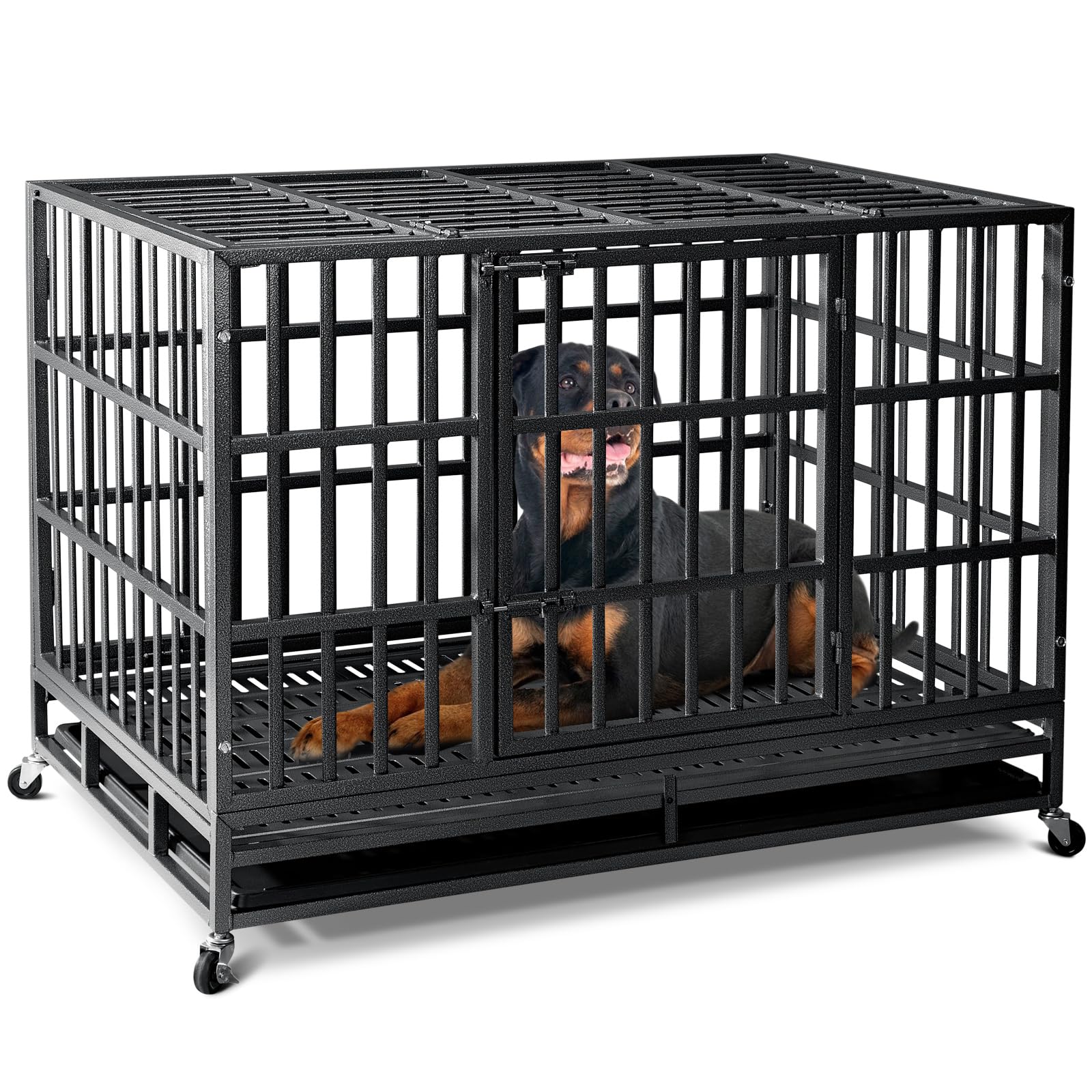 Oranland 48-inch crate front view highlights reinforced steel panels for large dogs