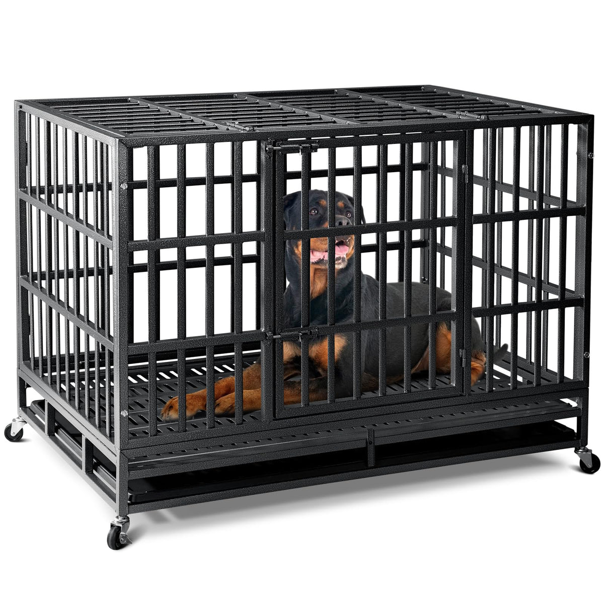 Oranland 48-inch crate front view highlights reinforced steel panels for large dogs