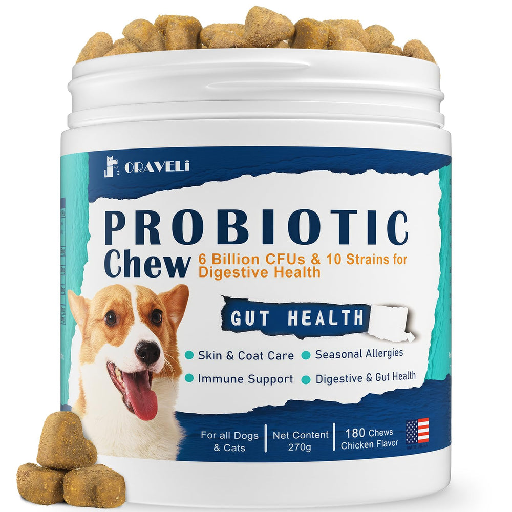 ORAVELi Probiotics for Dogs bottle showing easy daily administration and digestive balance.