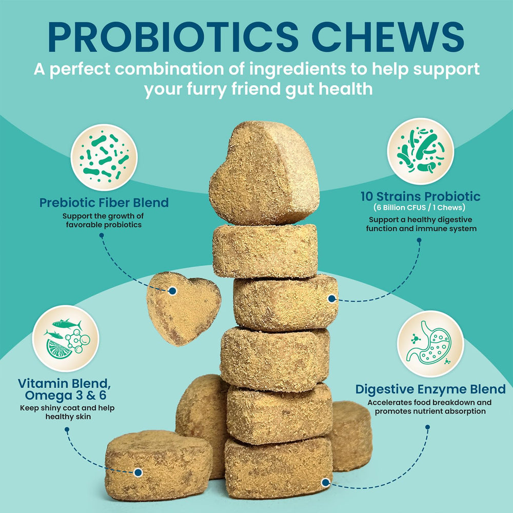 ORAVELi dog probiotic chews close-up, tasty texture supports daily wellness.
