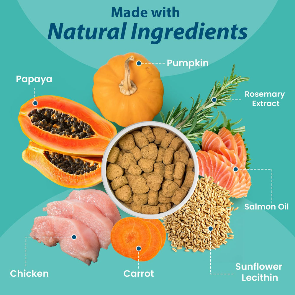 ORAVELi dog probiotics packshot reveals the comprehensive formula for gut balance.