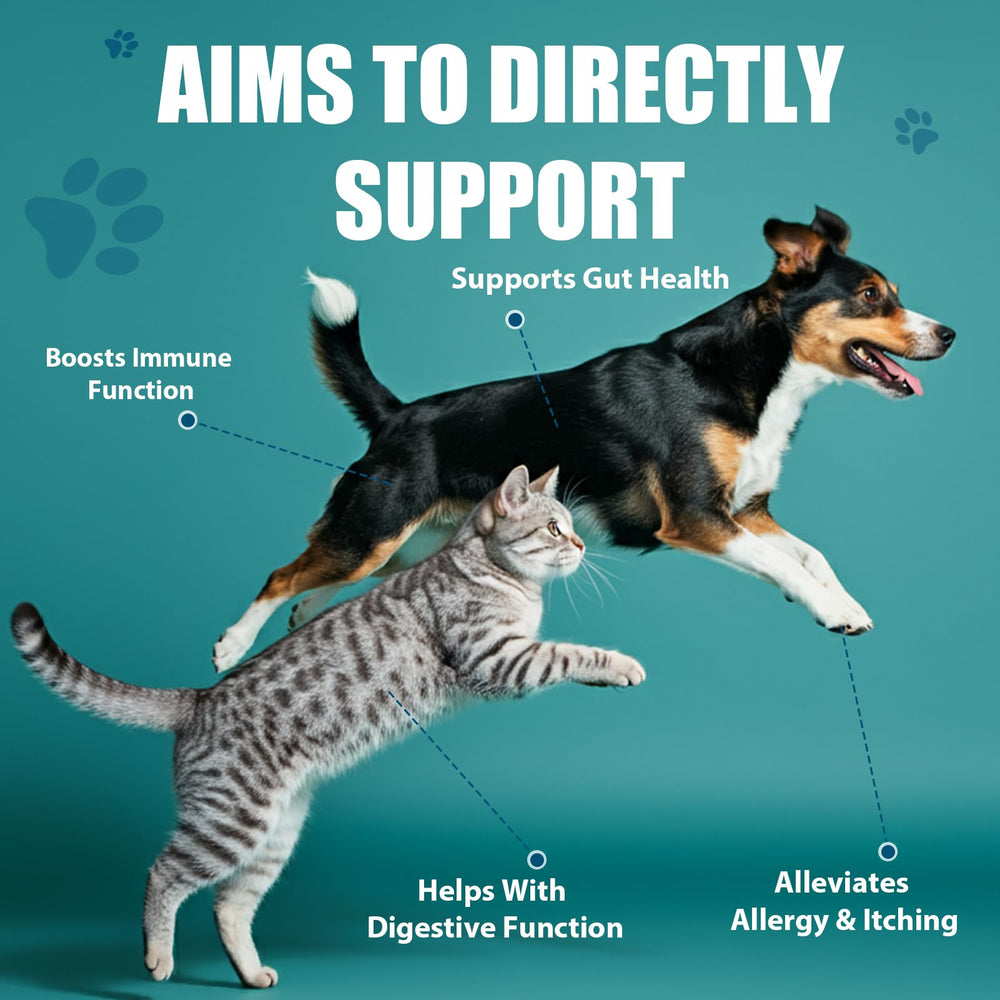 ORAVELi Probiotics for Dogs pour-over bottle showing easy dispensing with meals.