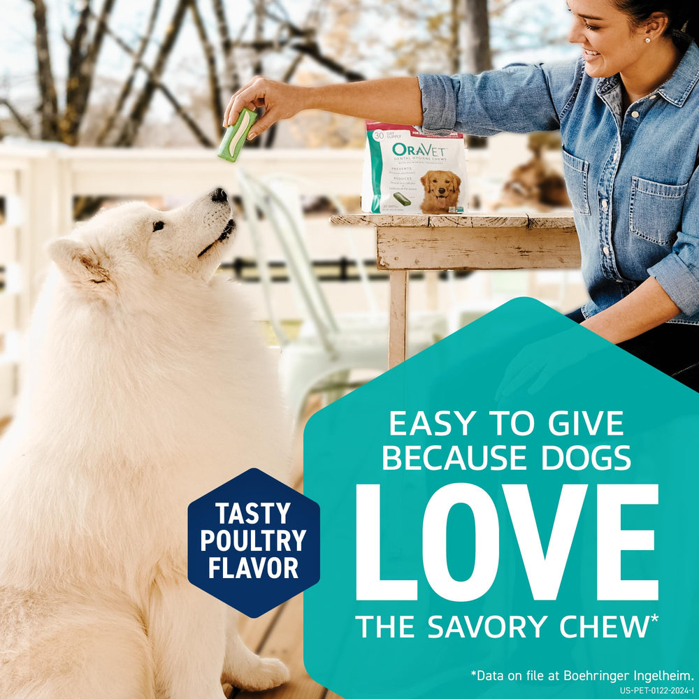 Packaged OraVet chews suggest potential fresher breath for dogs