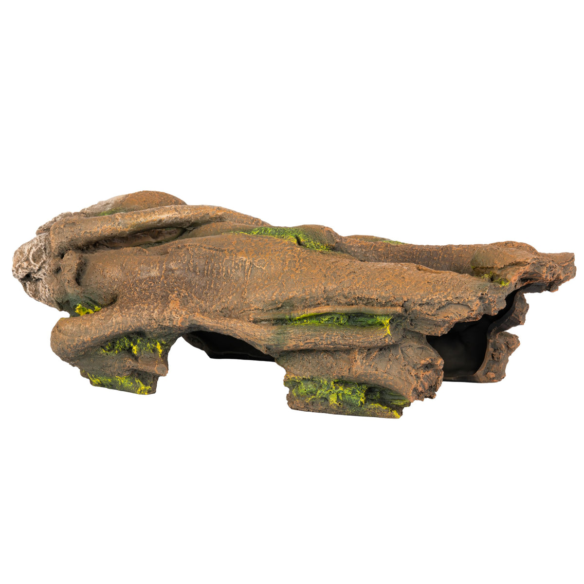 Orchid Valley XL hollow log with open ends provides a safe reptile hideout.