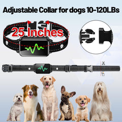Orcleab adjustable collar on a dog neck fits 9–23 inches