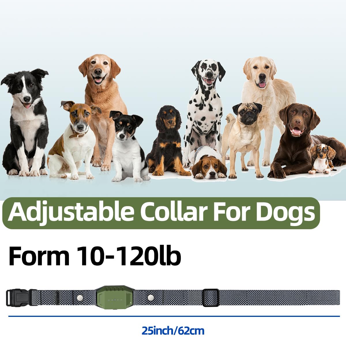 Orcleab collar on dog neck demonstrates secure wear and quick removal.