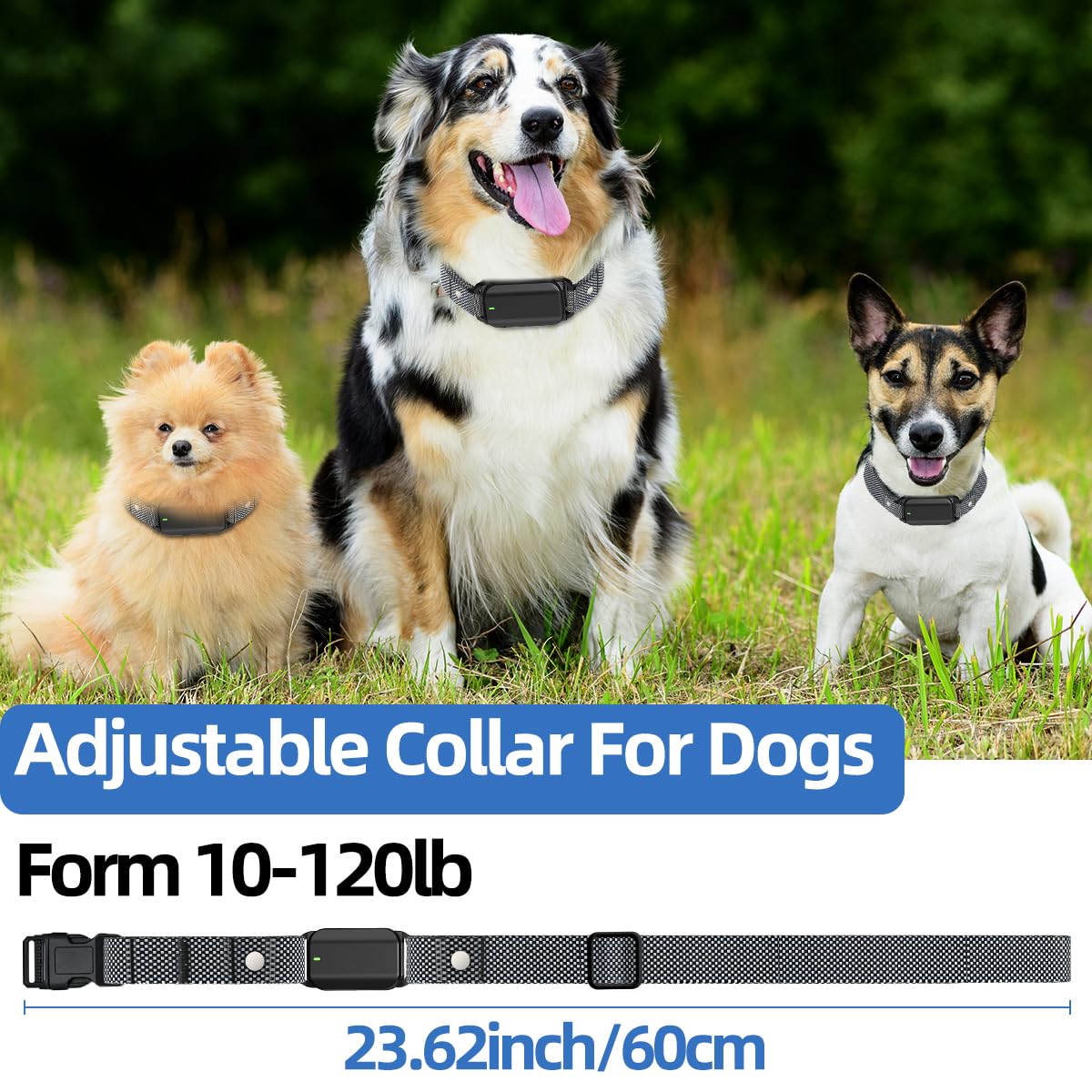 Orcleab dual-dog mode enables training two dogs simultaneously