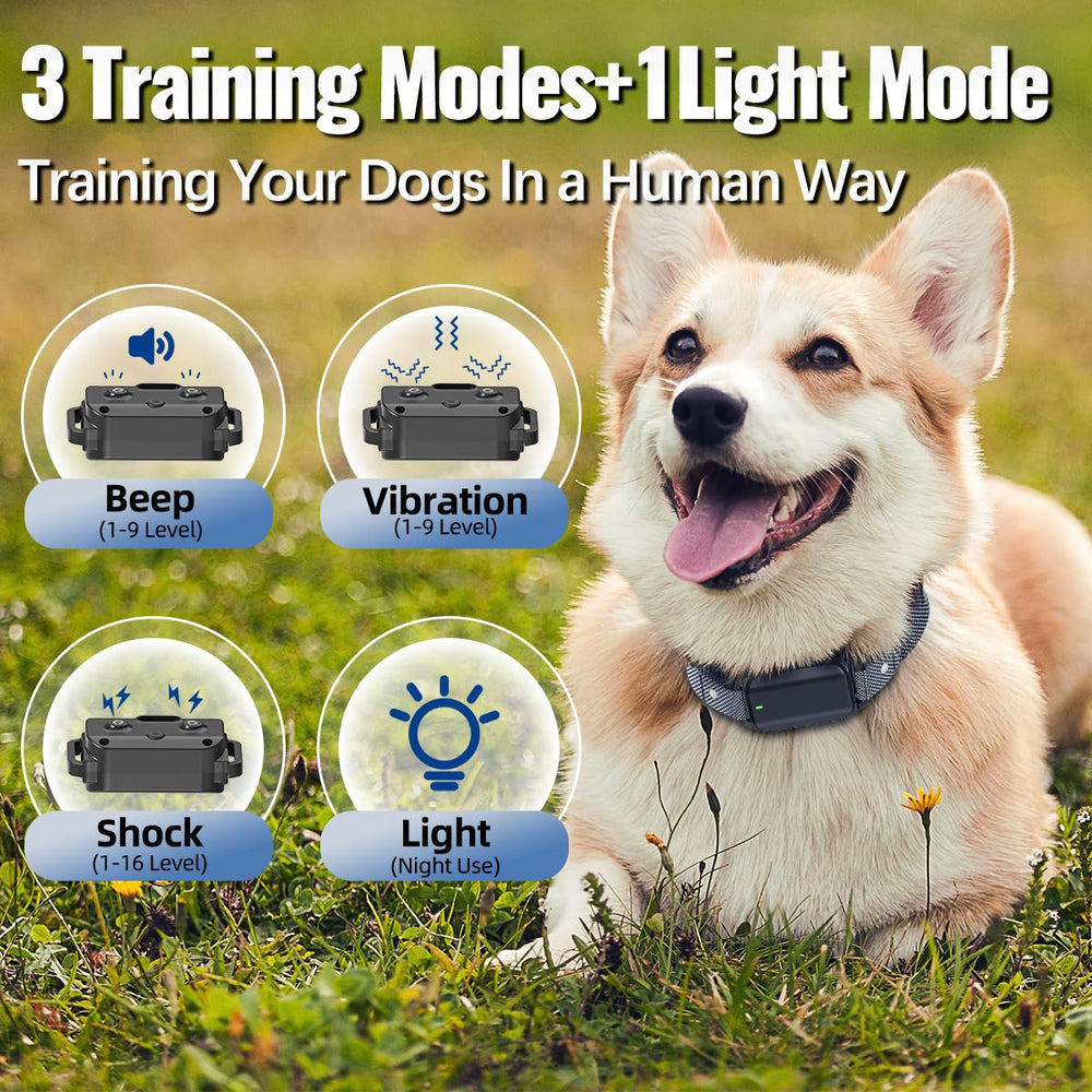 Orcleab long-range remote provides training from a distance