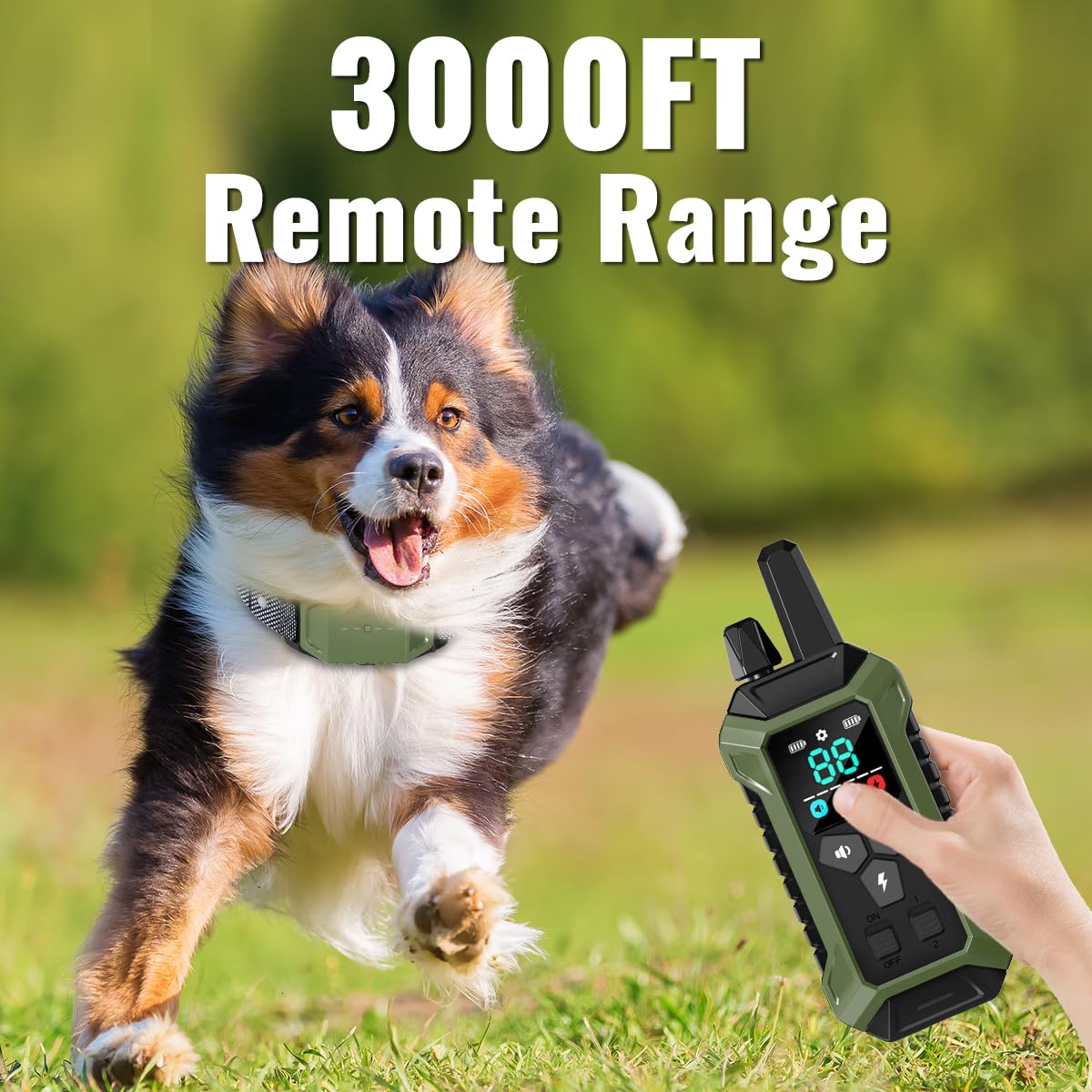 Orcleab long-range remote enables training in parks and backyards.