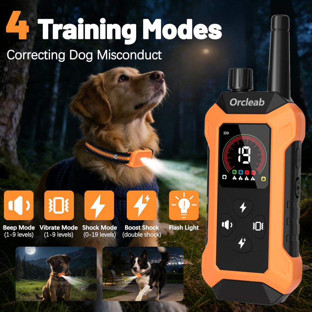 Orcleab remote control in action enabling distance training across the yard.