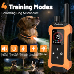 Orcleab remote control in action enabling distance training across the yard.