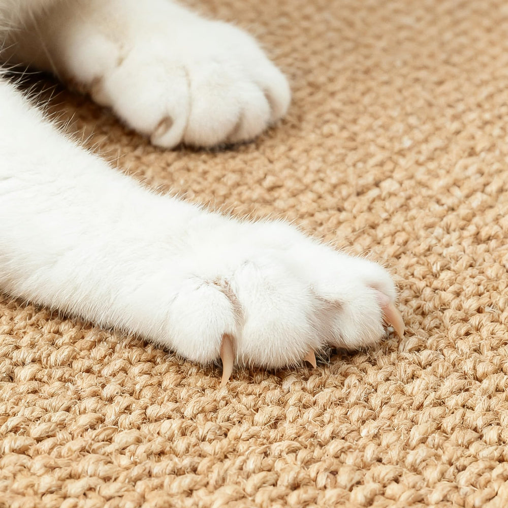 ORDORA large pad sized 31.5 by 14 inches offers roomy scratching space.