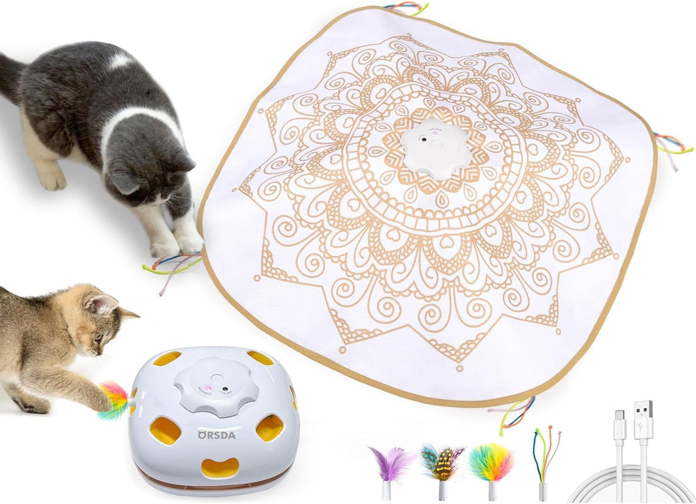 ORSDA 4-in-1 cat toy for indoor cats offering varied enrichment and exercise.