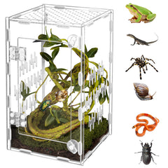 Orekemo acrylic terrarium with 360-degree visibility for easy pet monitoring.