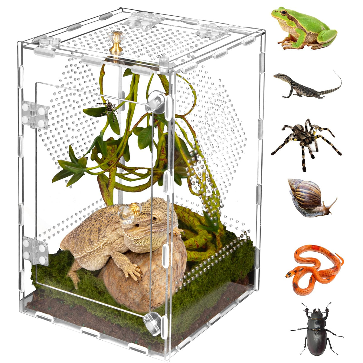 Orekemo acrylic terrarium with 360° visibility for quick pet checks