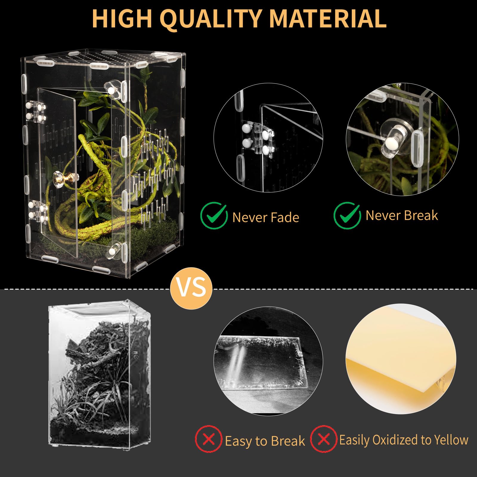 Orekemo clear sightlines for easy habitat checks of geckos and tarantulas.