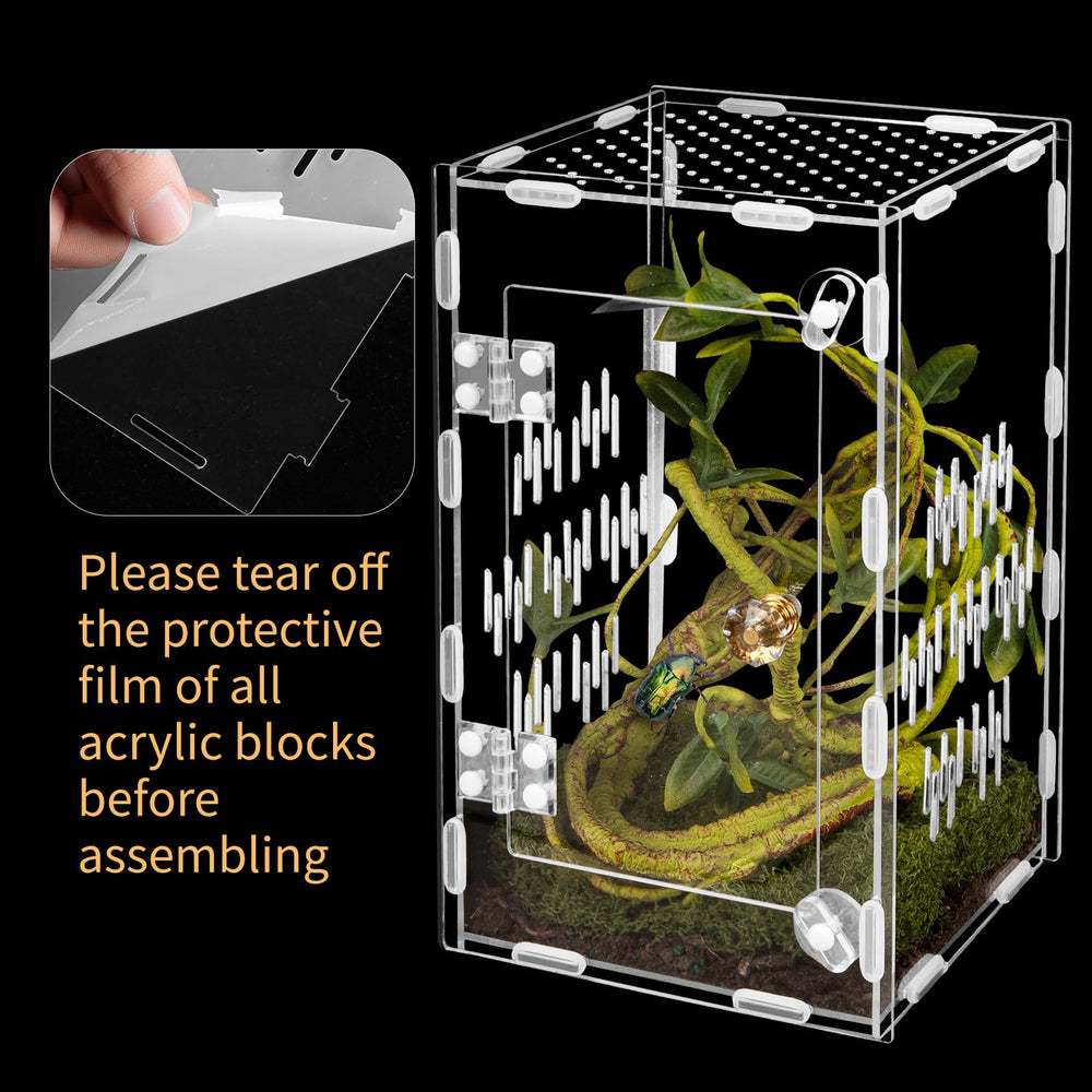 Orekemo multi-species habitat supports reptiles, arachnids, and amphibians in one unit.