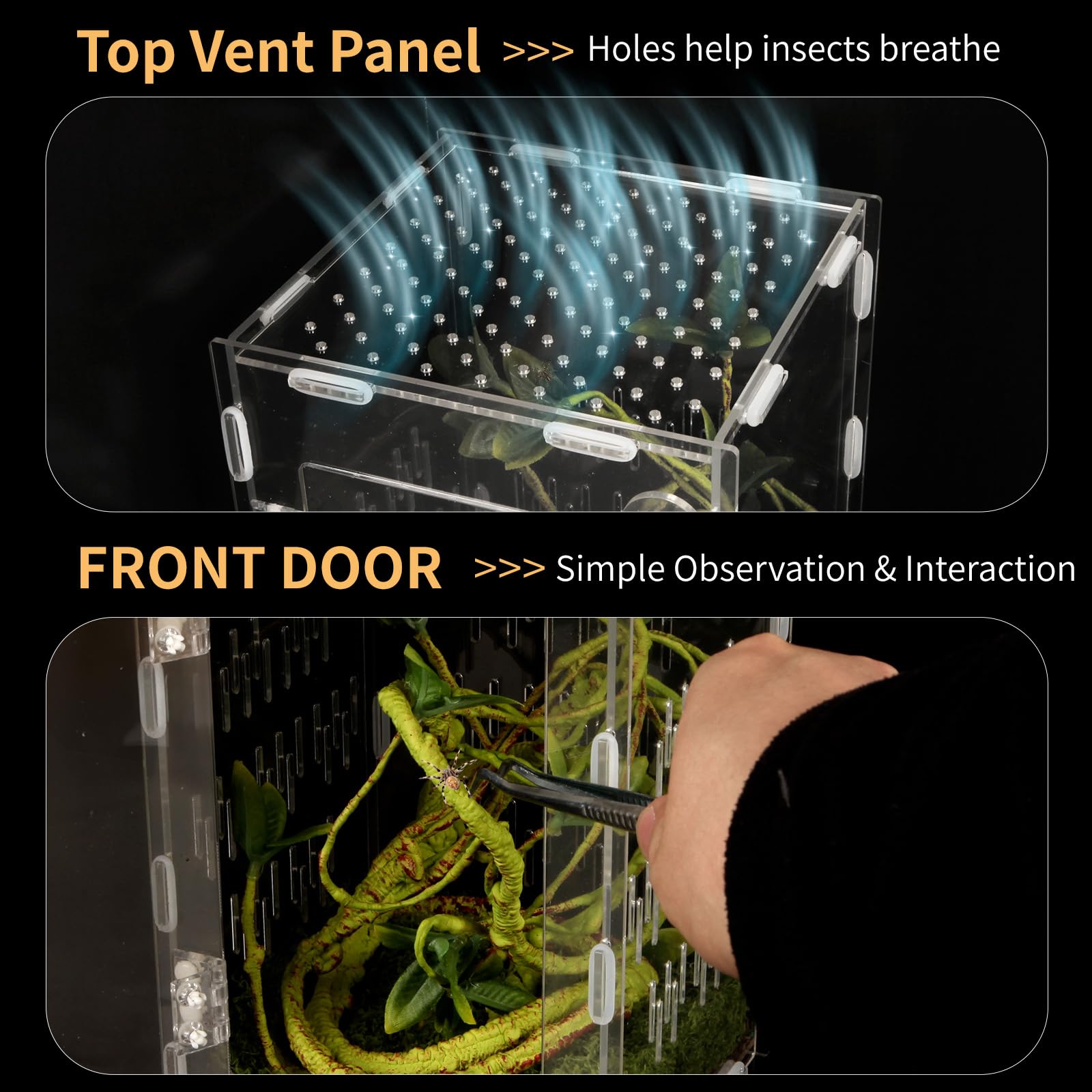 Orekemo scratch-resistant acrylic walls stay clear for long-term viewing.