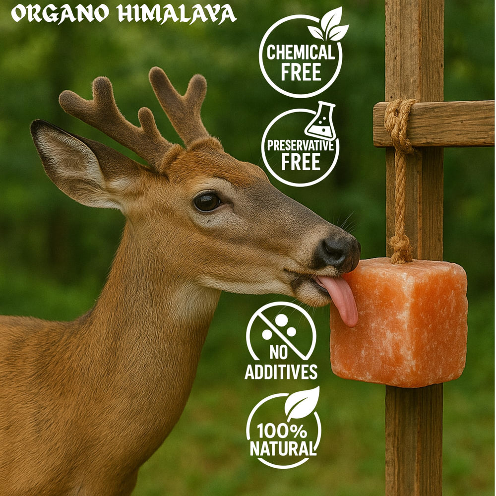 Organo Himalaya salt blocks are weather-resistant for indoor or outdoor use year-round.