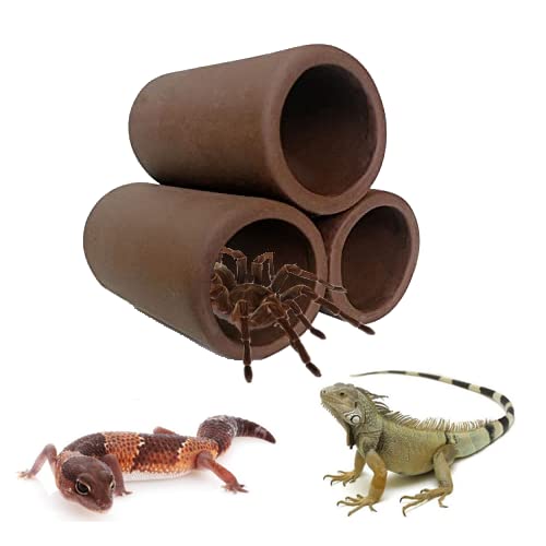 OrgMemory ceramic shelter mineral-rich material adds visual depth and micro-habitat feel.