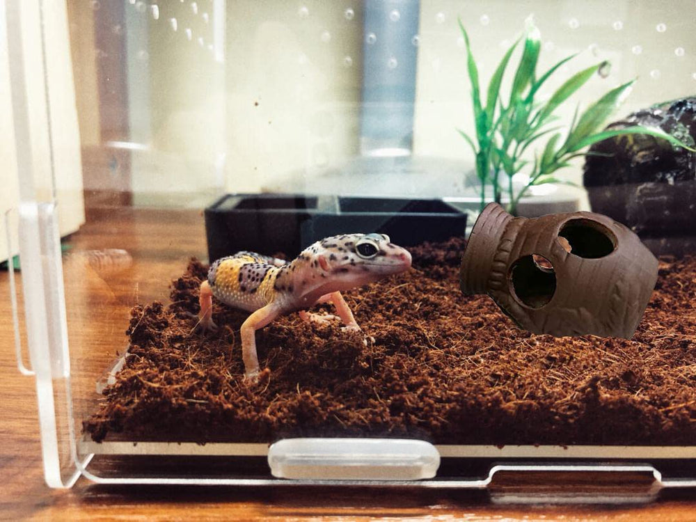 OrgMemory mineral-rich materials add texture and subtle color to tanks.