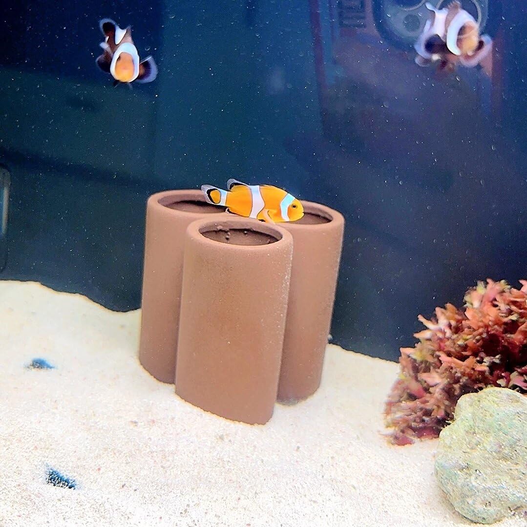 OrgMemory ceramic shelter two-piece decor offers multiple hideouts for shy tank mates.
