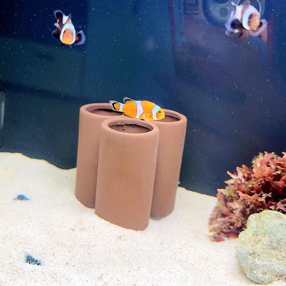 OrgMemory ceramic shelter two-piece decor offers multiple hideouts for shy tank mates.