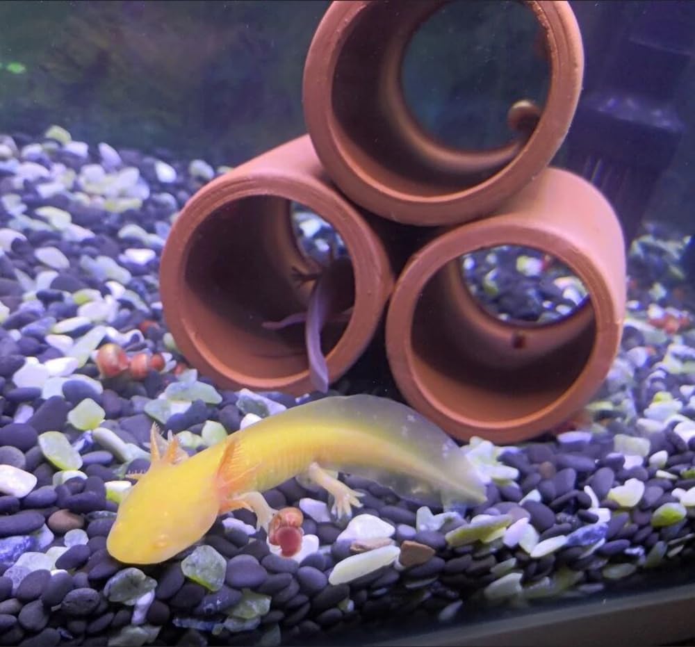 OrgMemory ceramic shelter set fits both freshwater and saltwater tanks for versatile use.