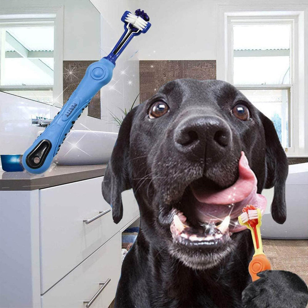 Orgrimmar all-breeds-friendly toothbrush for varied mouth sizes.