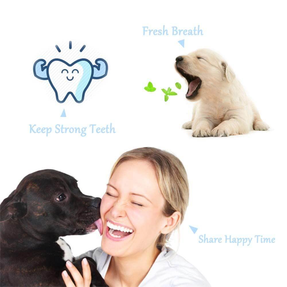 Orgrimmar for dogs and cats dental care across different breeds.