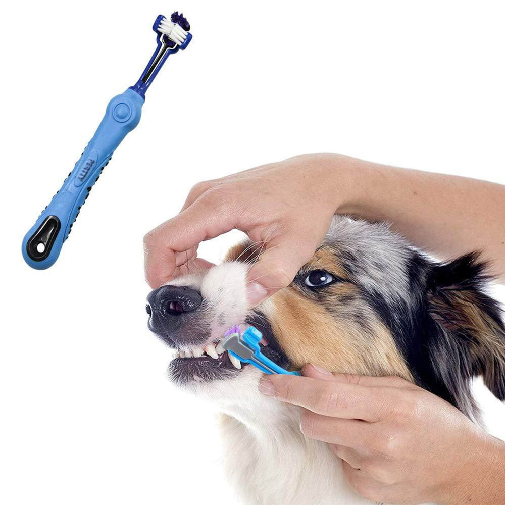 Orgrimmar pet dental care kit supports efficient oral hygiene routines.