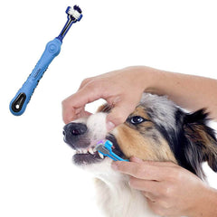 Orgrimmar pet dental care kit supports efficient oral hygiene routines.