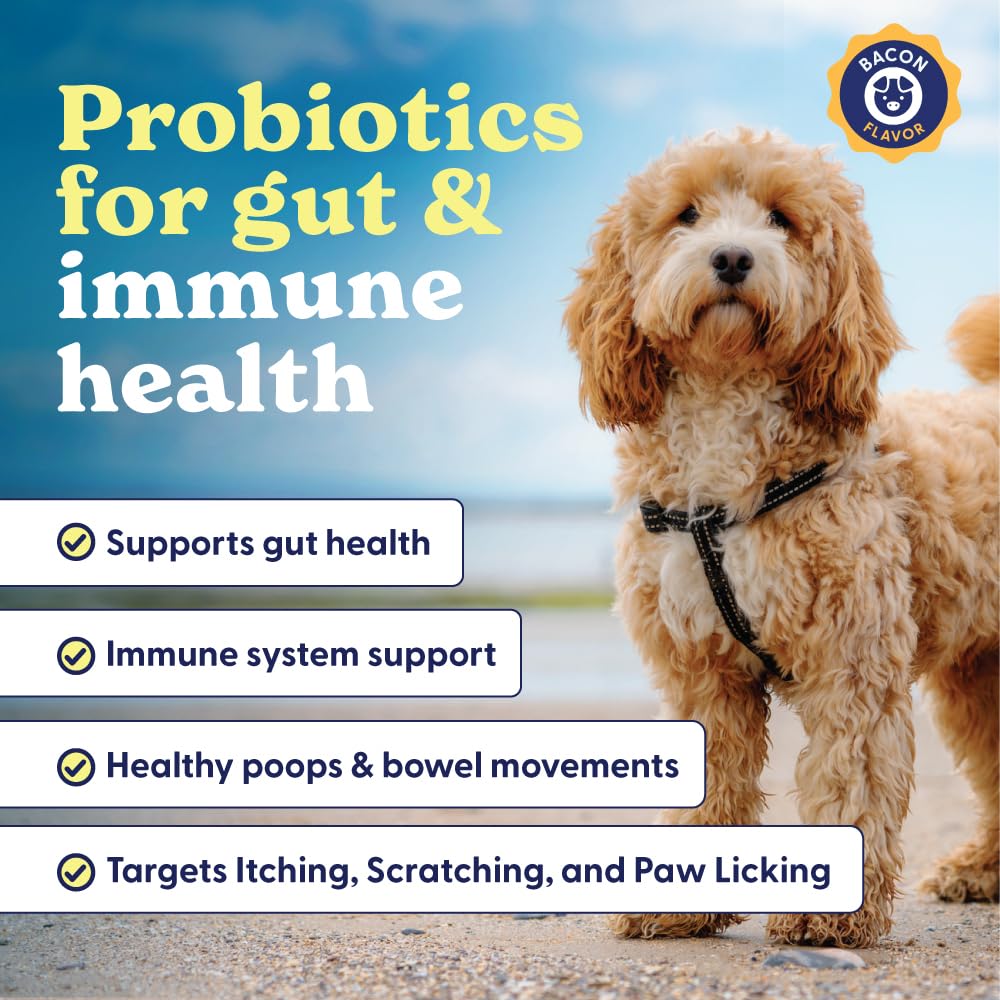 Origin Labs Belly Buddies 7-strain probiotic blend supports gut flora