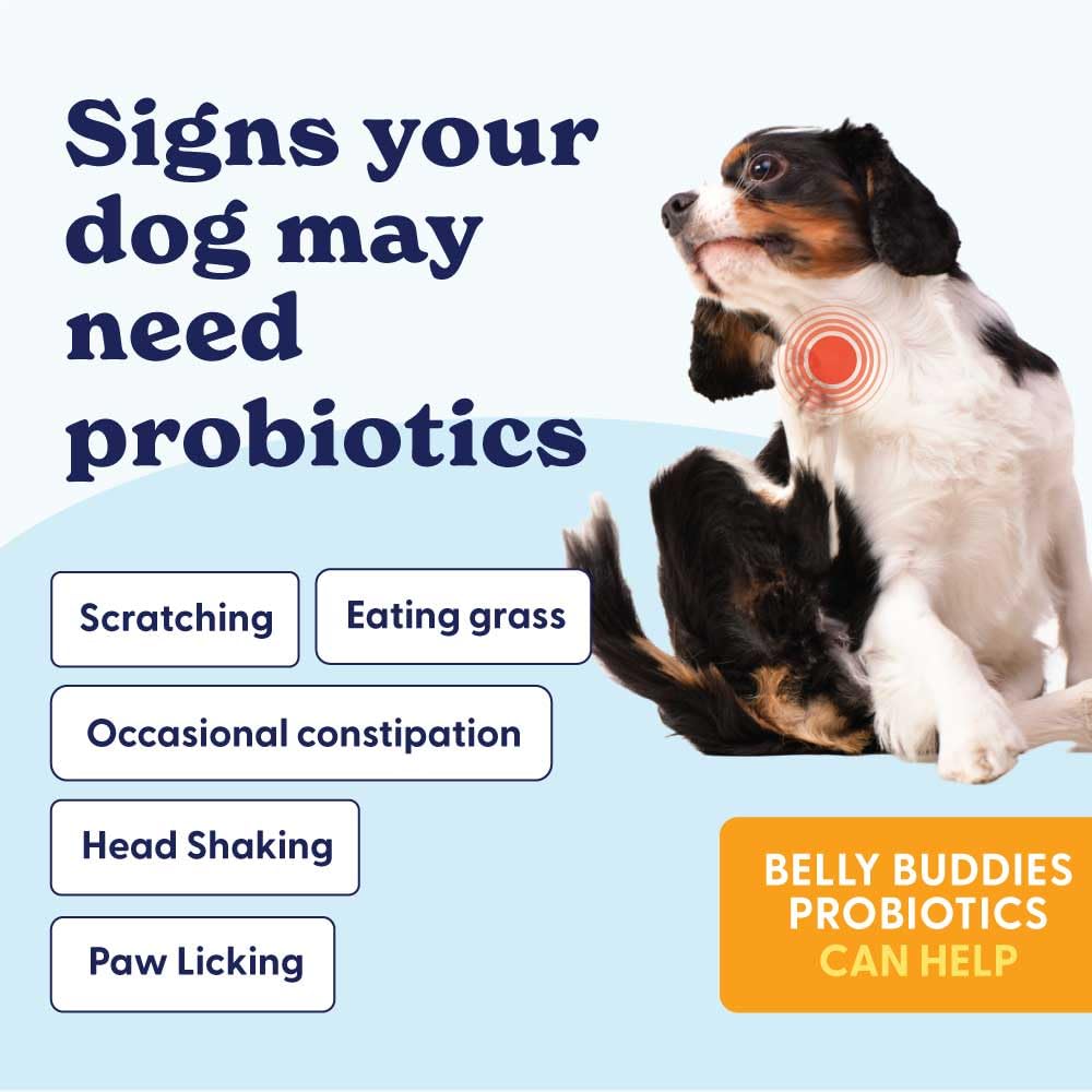 Origin Labs Belly Buddies vet-formulated supplement for dogs